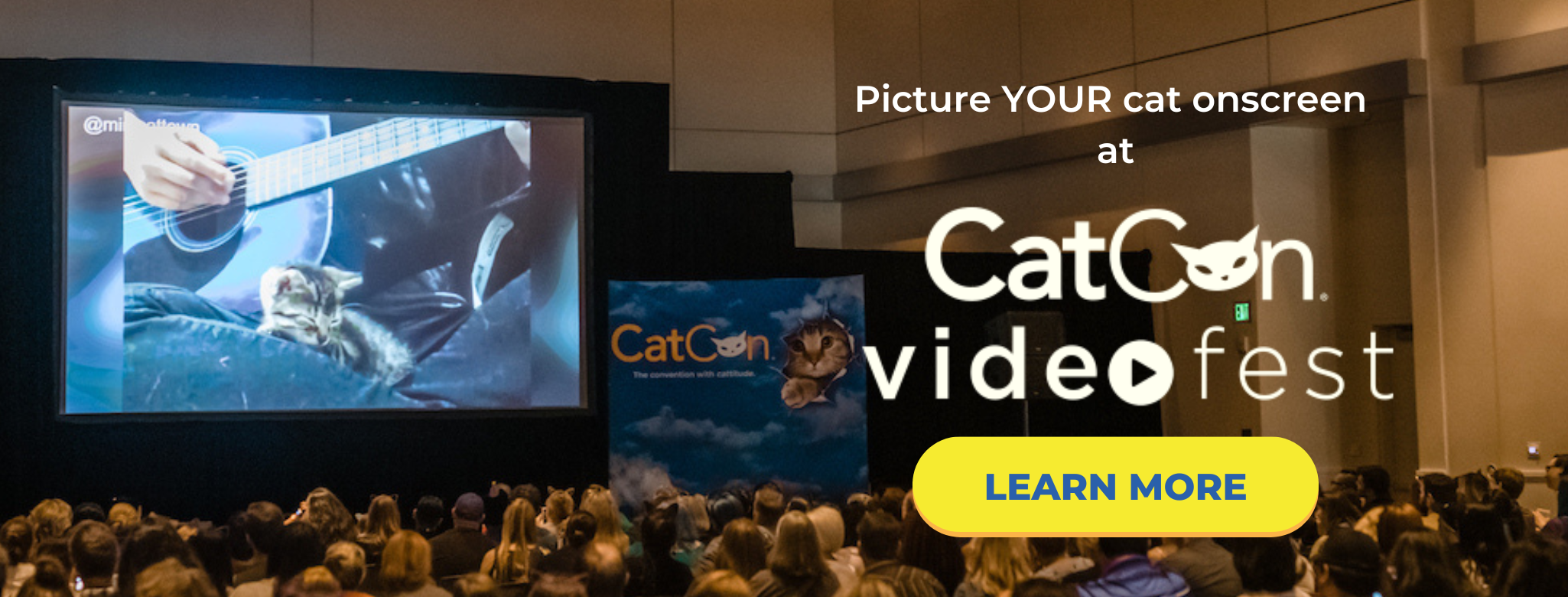 CatCon Videofest 2024