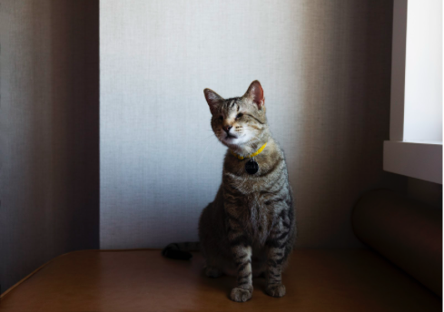 oskar