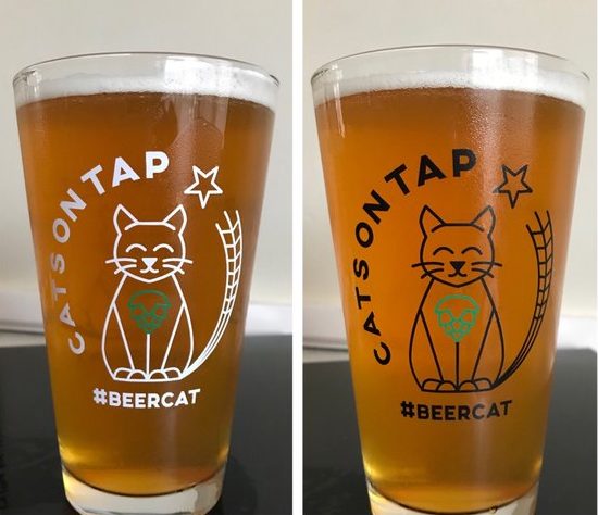 cats on tap glass