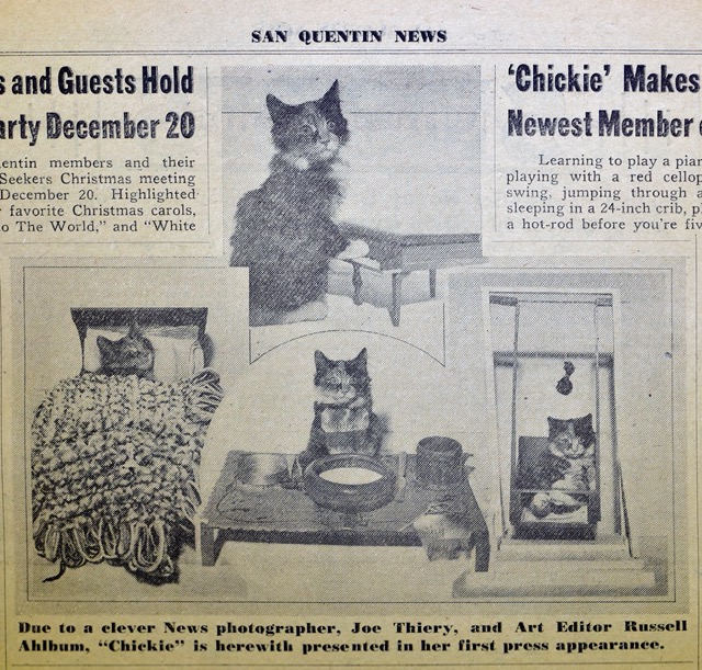 chickie-pussnboots-winner