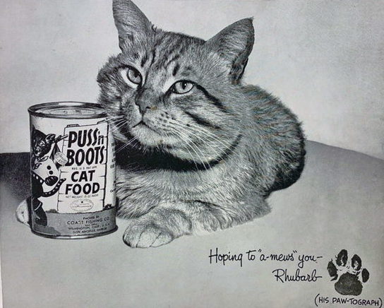 pussnboots-catfood