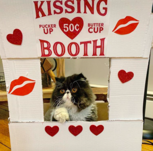 walterbishopthecat