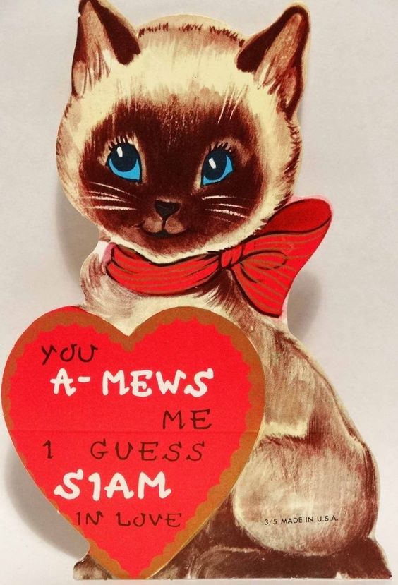 Photo of a vintage cat valentine depicting a cartoon siamese cat. Caption reads "YOU A-MEWS ME I GUESS SIAM IN LOVE"