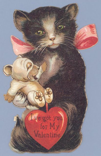 Cartoon cat holding a teddy bear (??) Caption in a heart says "I've got you for my Valentine"