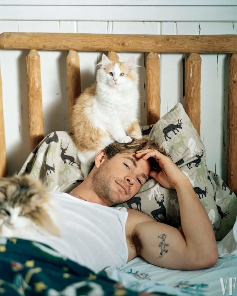 MCU's Thor, Chris Hemsworth, relaxes in bed with two cats