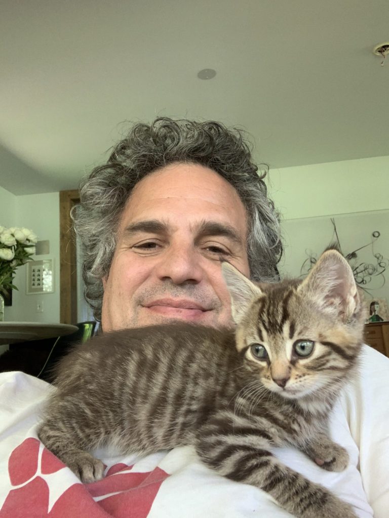 Marvel hero The Hulk, Mark Ruffalo, poses with a striped kitten on his chest. 