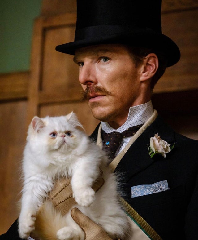 Benedict Cumberbatch holds a white scottish fold cat in a scene from The Electrical Life of Louis Wain. 

Cumberbatch plays Dr. Strange in the MCU. 