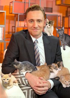 Tom Hiddleston aka Loki from the Marvel Cinematic Universe, covered in cute kittens