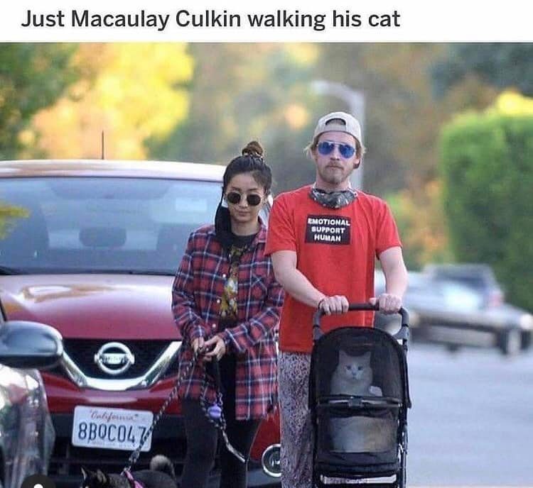 macaulay