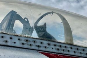 hickory-aviation-museum