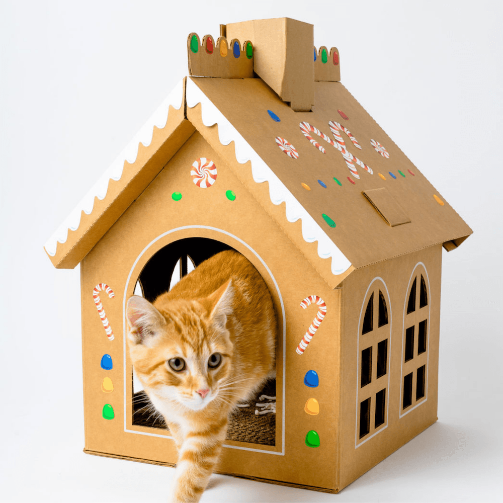 Photo of an orange cat stepping out of a cardboard gingerbread house