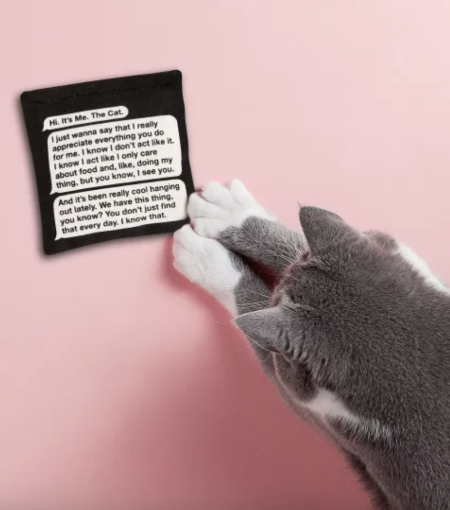 Cat playing with catnip toy that looks like a phone text screen