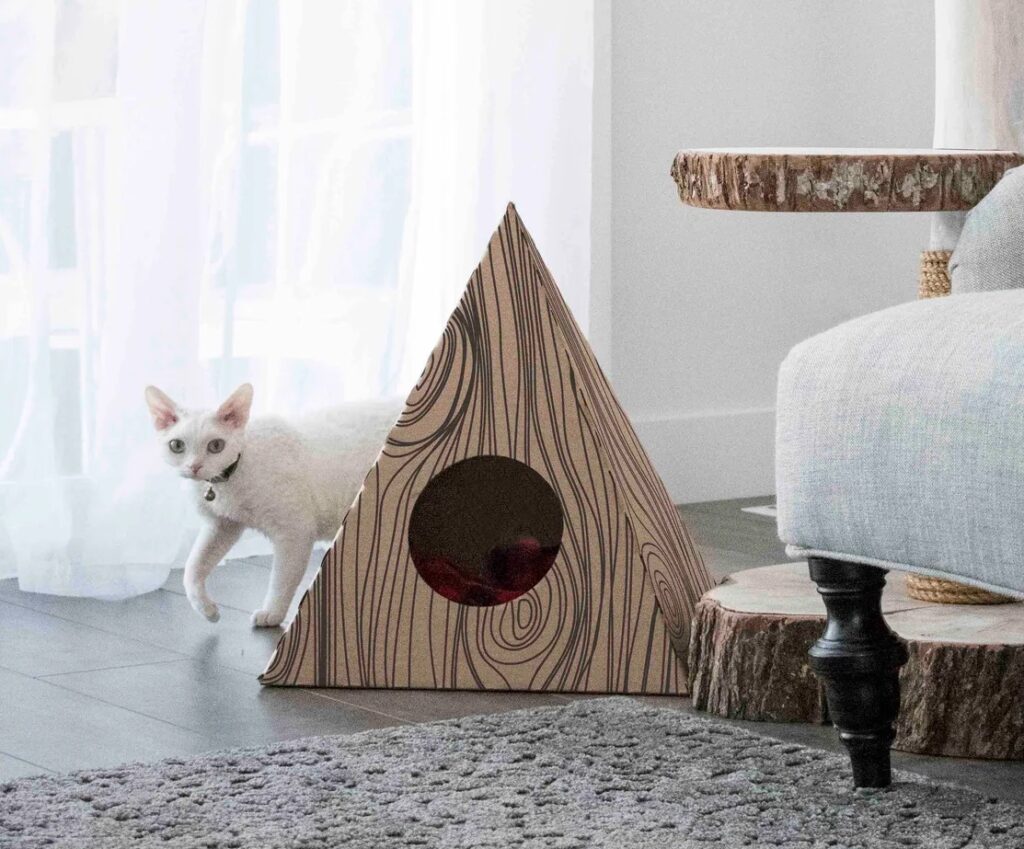 Photo of a white cat stepping out behind a pyramid cat hideaway in a modern living room