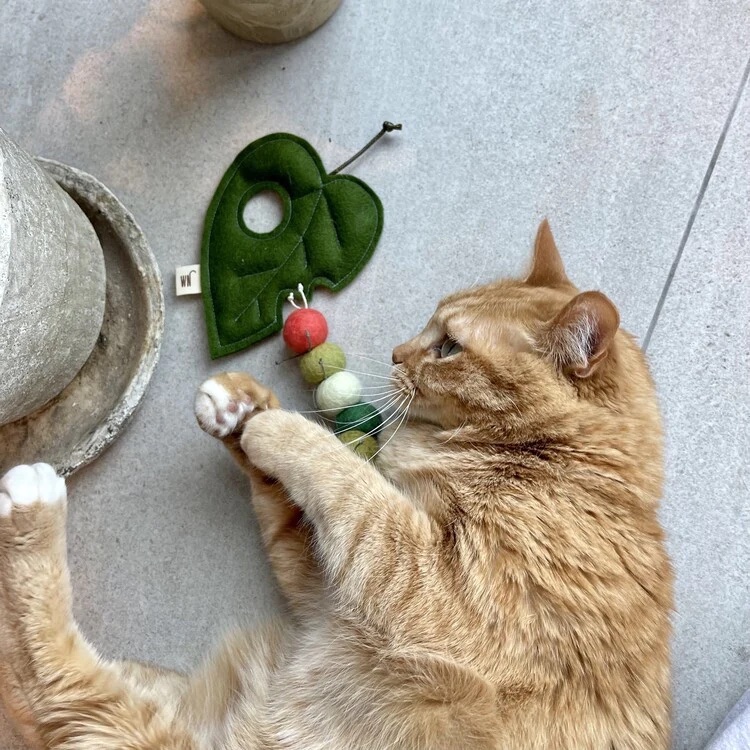 Photo of an orange cat playing with a caterpillar and leaf catnip toy