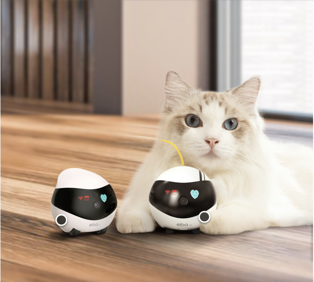 Photo of a white cat with two Enabot pet cameras