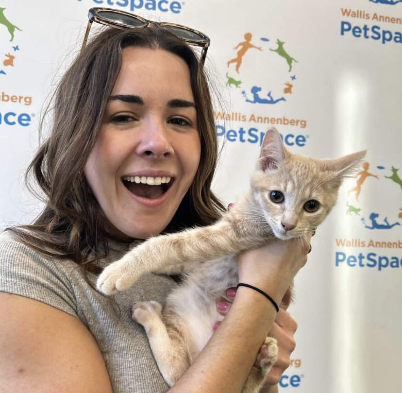 Woman holding an orange and white kitten in front of a Wallis Annenberg PetSpace backdrop