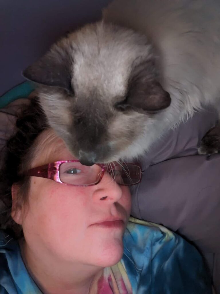 siamese cat on mom's head
