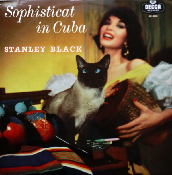 Woman plays a bongo drum with a Siamese cat nearby