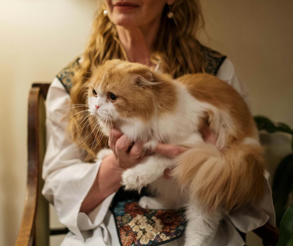 Orange and white cat being held by an older woman