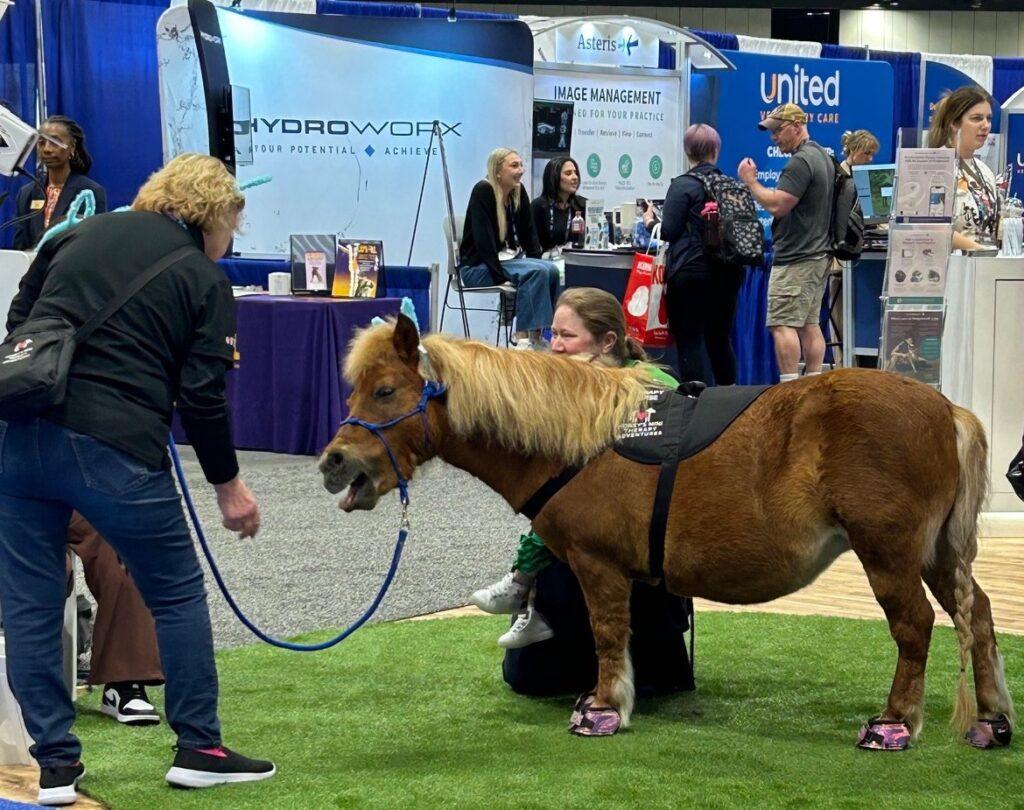 miniature horse at VMX 2025