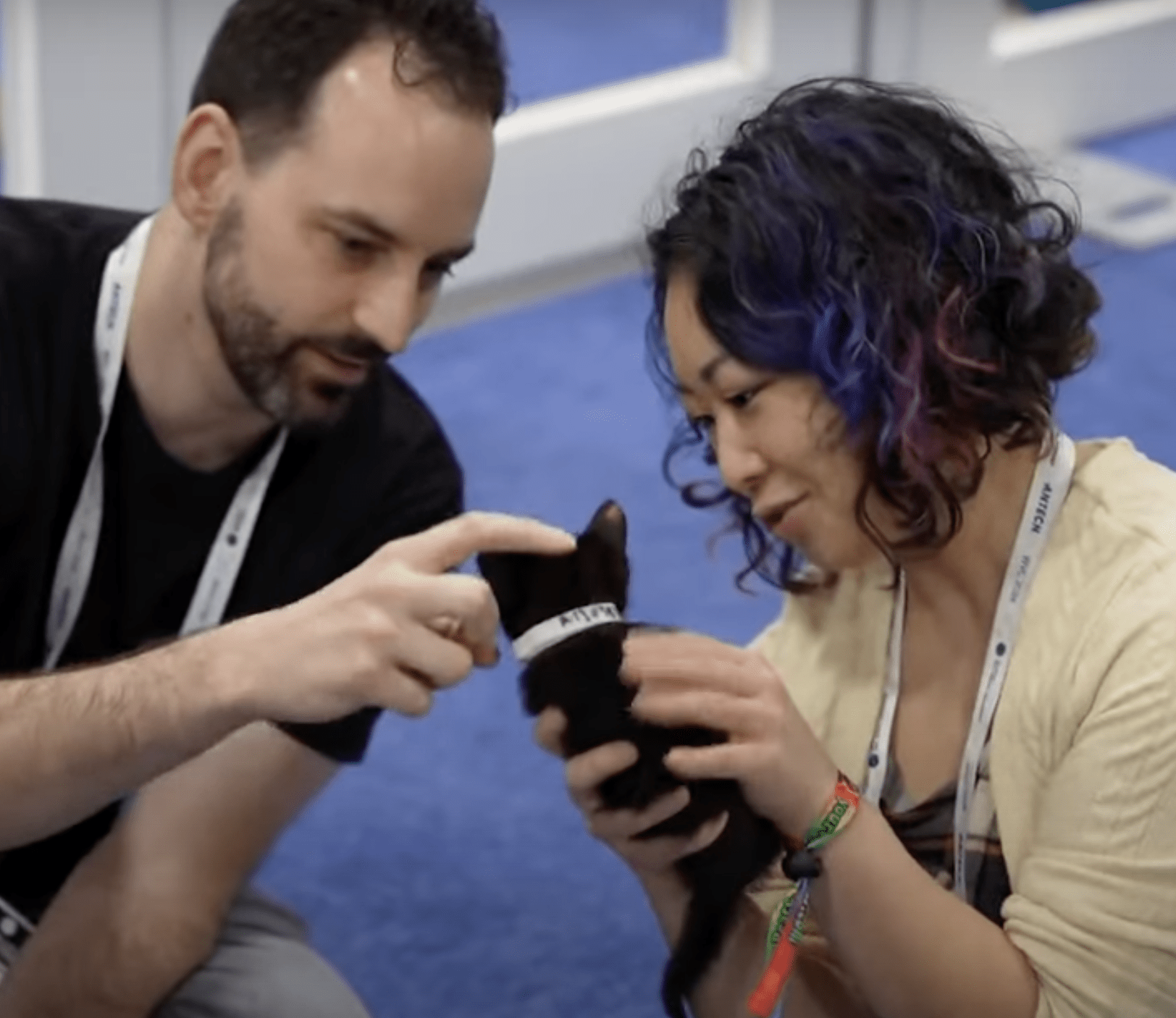 Cat Cafe at Western Veterinary Conference 2025