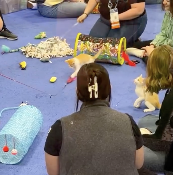 Cat Cafe at WVC 2025