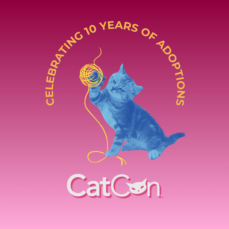 10 Years of Adoptions (1080 x 1080 px)